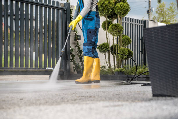 Best Roof Pressure Washing  in Whitehouse, TX